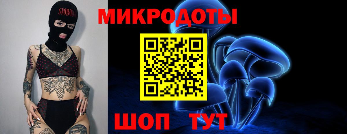 Когалым  Псилоцибиновые грибы Cubensis  Вход с VPN 